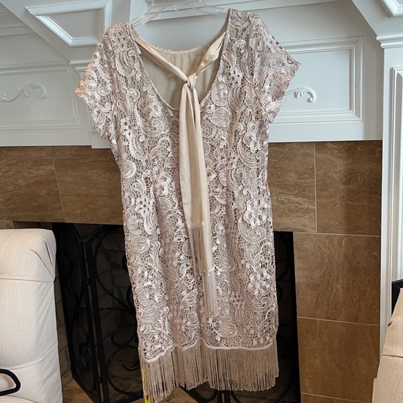 Joanna Hope Embroidered  Lace Ilusion Sheath Dress - Picture 4 of 10